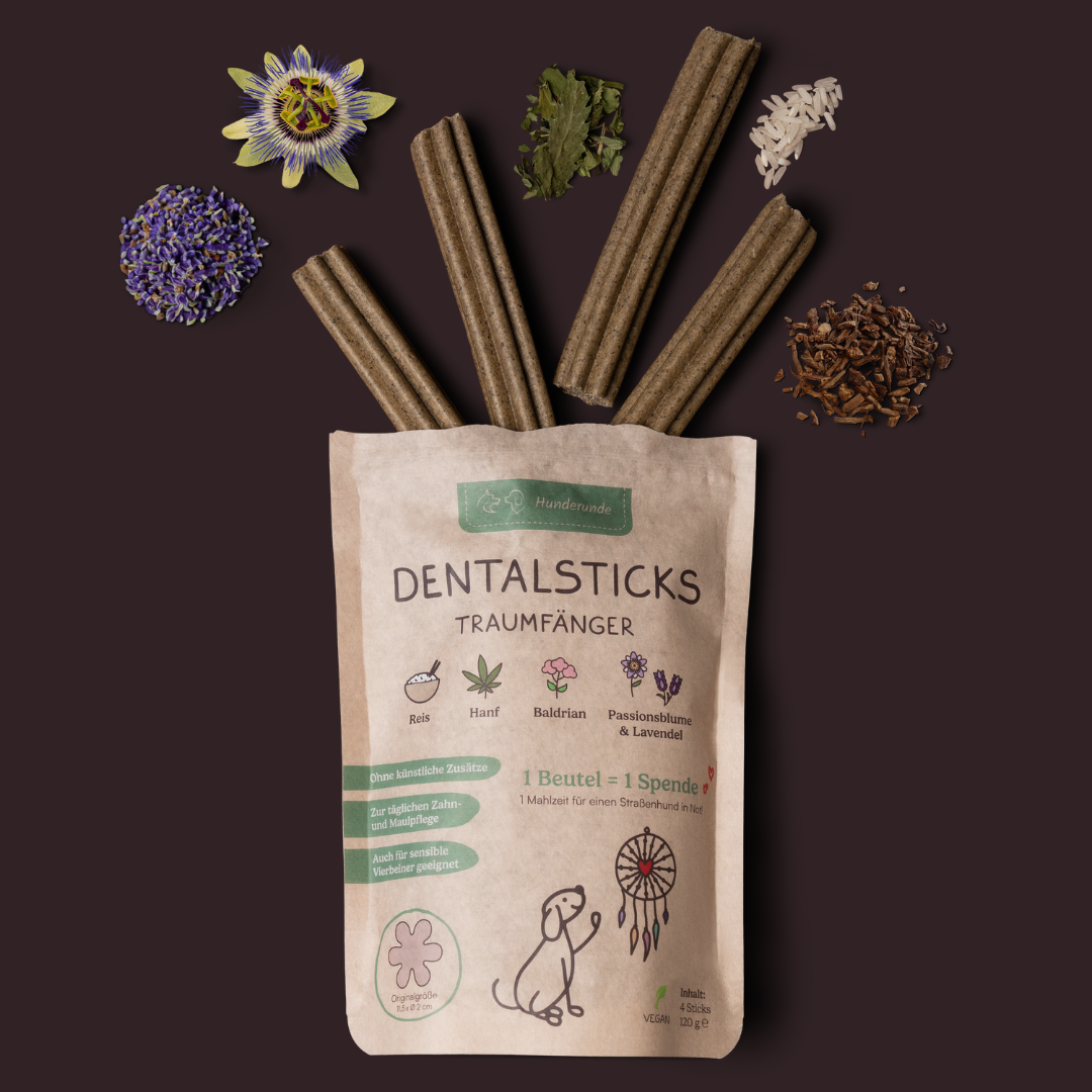 Dental Stick Traumfänger (9VPE)
