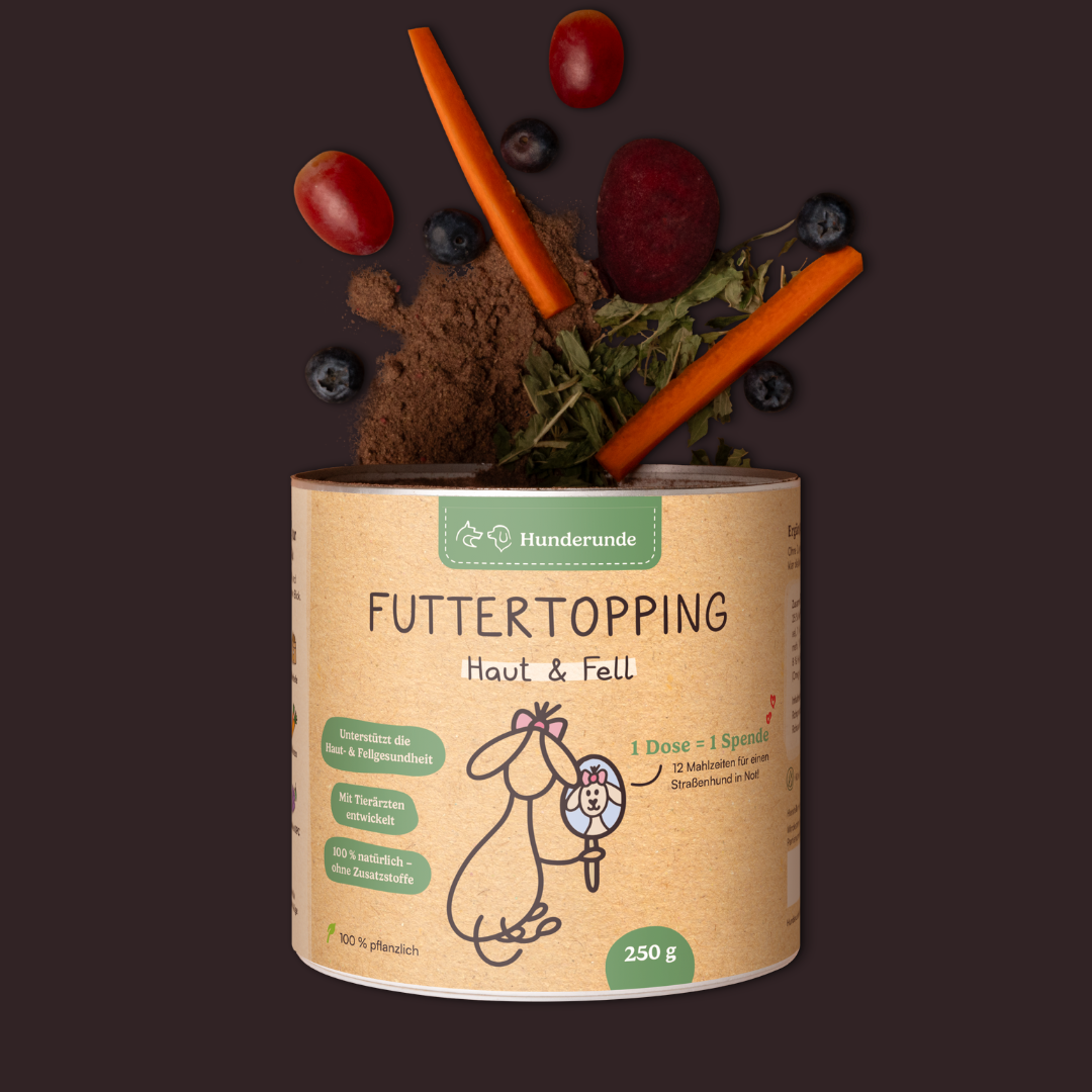 Futtertopping Haut & Fell 1 x 250g